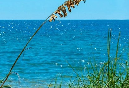 beach scene just outside naples, fl
