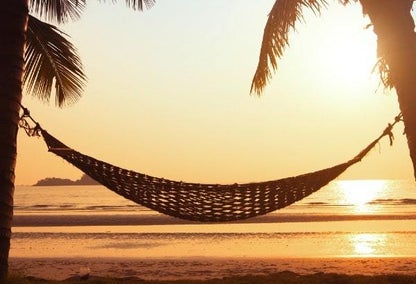 hammock between 2 palms at sunset