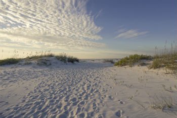 Southwest Florida beaches